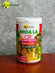 Khóa Lá CR7