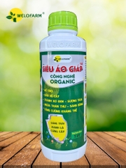SIÊU ÁO GIÁP PLUS