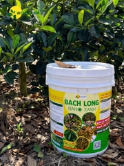 Bạch Long Nano Xanh
