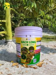 Bạch Long Nano Xanh