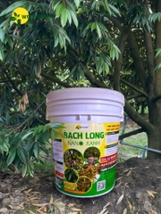 Bạch Long Nano Xanh