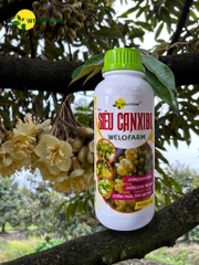 Siêu CanxiBo