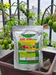 Hắc Kim NaNo (Kg)