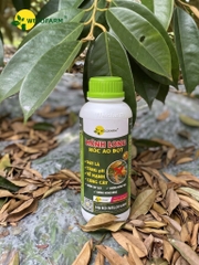 Mãnh Long Nốc Ao Đọt