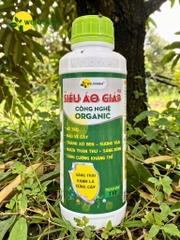 SIÊU ÁO GIÁP PLUS