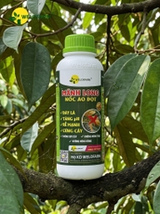 Mãnh Long Nốc Ao Đọt