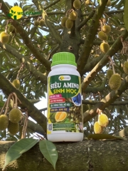 Siêu Amino Sinh Học