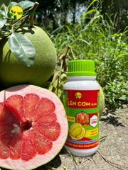 Lên Cơm Plus
