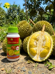 Lên Cơm Plus