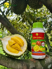 Lên Cơm Plus