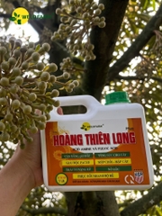 Plus Hoàng Thiên Long