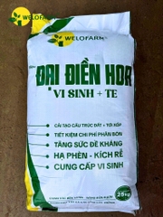 Đại Điền Hoa