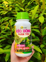 Kéo Bông Thần Tốc