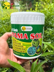 Vi Sinh Pama Soil