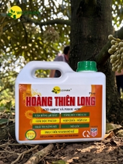 Plus Hoàng Thiên Long