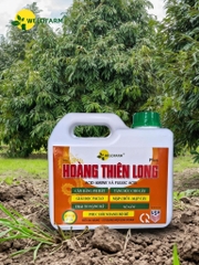 Plus Hoàng Thiên Long