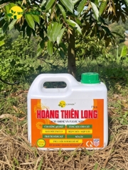 Plus Hoàng Thiên Long