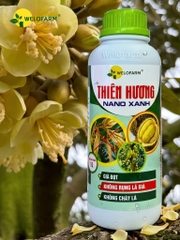 Thiên Hương Nano Xanh 1L