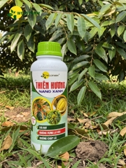 Thiên Hương Nano Xanh 1L