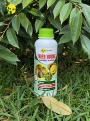 Thiên Hương Nano Xanh 1L