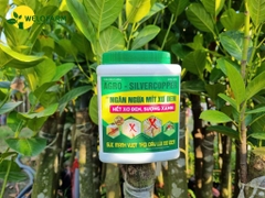 Chống Mít Xơ Đen