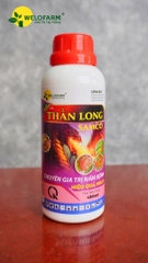 Thần Long Samco