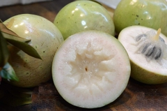Vú Sữa Lò Rèn