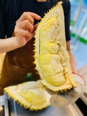Sầu Riêng Monthong Thái