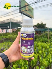 Thần Hổ Vương