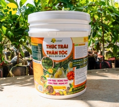 Thúc Trái Thần Tốc
