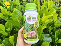 Rồng Xanh Kéo Đọt