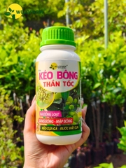 Kéo Bông Thần Tốc