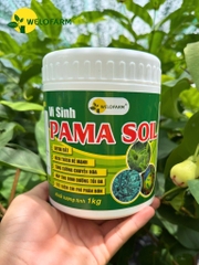 Vi Sinh Pama Soil