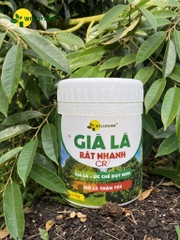 Già Lá Rất Nhanh
