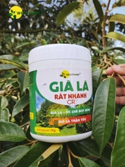 Già Lá Rất Nhanh