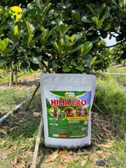HIMA PRO