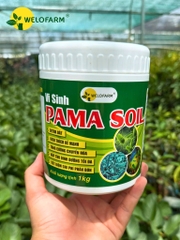 Vi Sinh Pama Soil