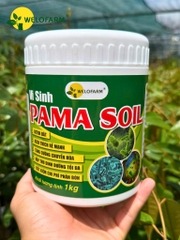Vi Sinh Pama Soil