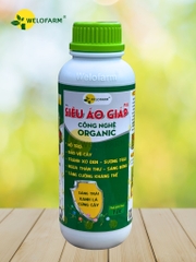 SIÊU ÁO GIÁP PLUS