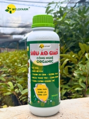 SIÊU ÁO GIÁP PLUS