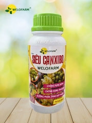 Siêu CanxiBo