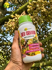 Siêu CanxiBo