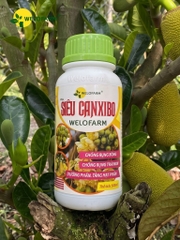 Siêu CanxiBo