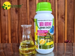 Siêu Amino Sinh Học (Nâng Cấp)