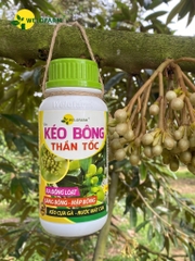 Kéo Bông Thần Tốc