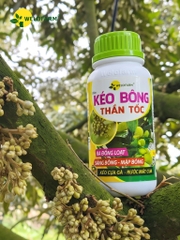 Kéo Bông Thần Tốc