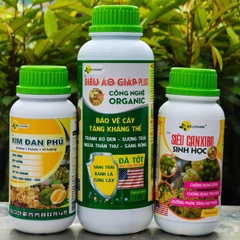 Bộ Siêu Nuôi Trái Lớn Nhanh