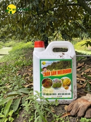 Thần Sấm Pro
