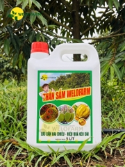 Thần Sấm Pro