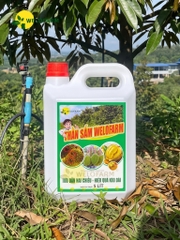 Thần Sấm Pro